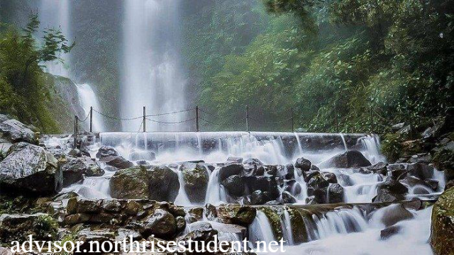 6 Destinasi Menarik Selain Puncak Jelajahi Keindahan Alam Bogor